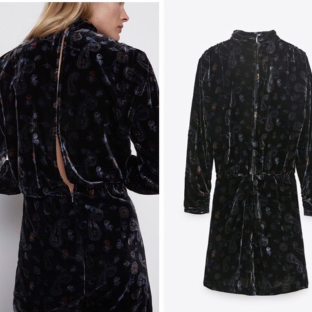 ZARA PRINTED VELVET DRESS - Picture 5 of 15